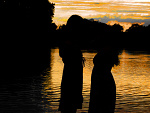 Fotoblog amazingnightmare