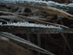 Fotoblog switchblade