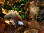 Fotoblog dysq