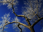 Fotoblog 00k00