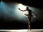 Fotoblog myszy7