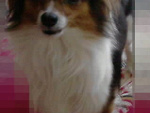 Fotoblog cytrynkkkaa