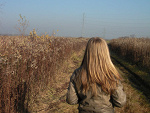 Fotoblog asiuuchaa
