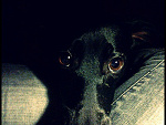Fotoblog ajak23
