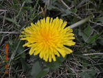 Fotoblog glupiutkawariatka