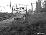 Fotoblog pinypon
