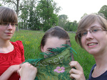 Fotoblog rosacaninaa