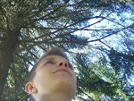 Fotoblog olszo1996
