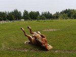 Fotoblog renka82