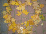 Fotoblog oliwka2308