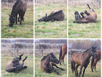 Fotoblog malinka2oo9