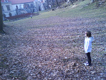 Fotoblog zuzek1234