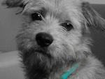 Fotoblog kacperq