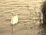 Fotoblog kfiatuszekxd