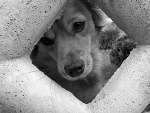 Fotoblog lovephotographylove