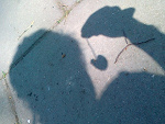 Fotoblog abelo