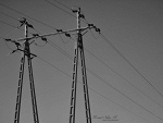 Fotoblog nikaphotographer