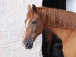 Fotoblog tomekk8855