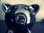 Fotoblog fijacion