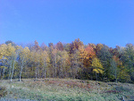 Fotoblog mariakamila87