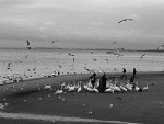 Fotoblog loli094