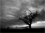 Fotoblog 7pazdziernik