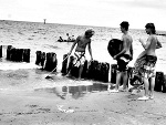 Fotoblog kondonii
