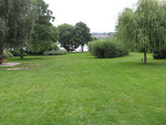 Fotoblog sarna1