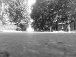 Fotoblog brillarpera
