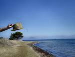 Fotoblog wojwod
