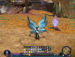 Fotoblog kh4n7