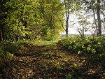 Fotoblog ejlubiechecolate