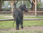 Fotoblog xxyoulekxx