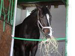 Fotoblog karolinam01