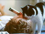 Fotoblog 28x10
