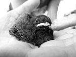 Fotoblog amonika93