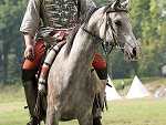 Fotoblog faust24