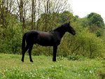 Fotoblog czarujacabrunetka
