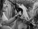 Fotoblog paaranoje