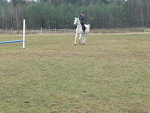 Fotoblog koniara55557