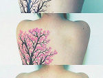 Fotoblog foxyknox