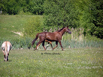 Fotoblog centonek763