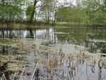 Fotoblog k78a06l09i10