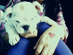 Fotoblog buuumxp