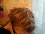 Fotoblog pussi