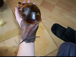 Fotoblog czajnik69