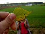 Fotoblog paullaxx33
