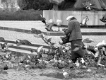 Fotoblog toconieosiagalne