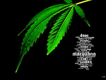 Fotoblog indorekmj