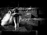Fotoblog sewcia